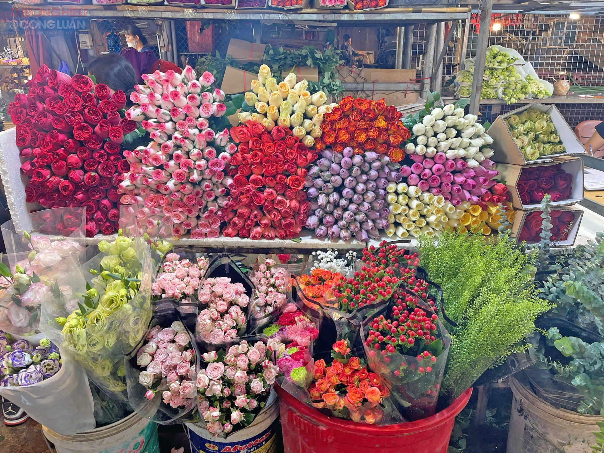 Nhiều loại hoa hồng như hồng cam, hồng phấn, hồng Ecuador, hồng chùm... được nhập về chợ, tạo nên không gian rực rỡ sắc màu. Nhiều loại hoa hồng như hồng cam, hồng phấn, hồng Ecuador, hồng chùm... được nhập về chợ, tạo nên không gian rực rỡ sắc màu.