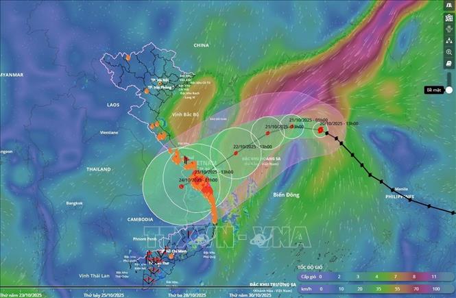 Bão số 12 dự kiến đổ bộ Đà Nẵng đến Quảng Ngãi, mưa lũ lớn trên diện rộng