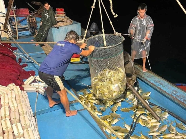 Sản lượng thủy sản Quảng Trị tăng trưởng ổn định, đảm bảo mục tiêu năm 2025. Sản lượng thủy sản Quảng Trị tăng trưởng ổn định, đảm bảo mục tiêu năm 2025.