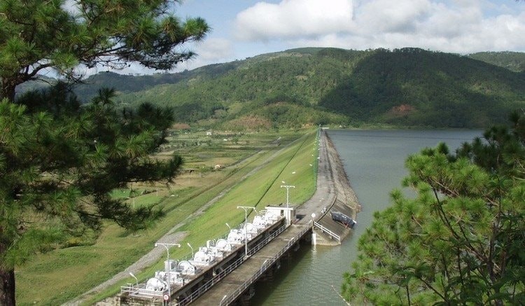 Đầu tư và Xây dựng 40 (L40) sắp chi trả cổ tức 5% bằng tiền mặt