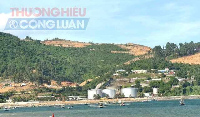 Cảng Đà Nẵng đề xuất đầu tư dự án Bến cảng Liên Chiểu