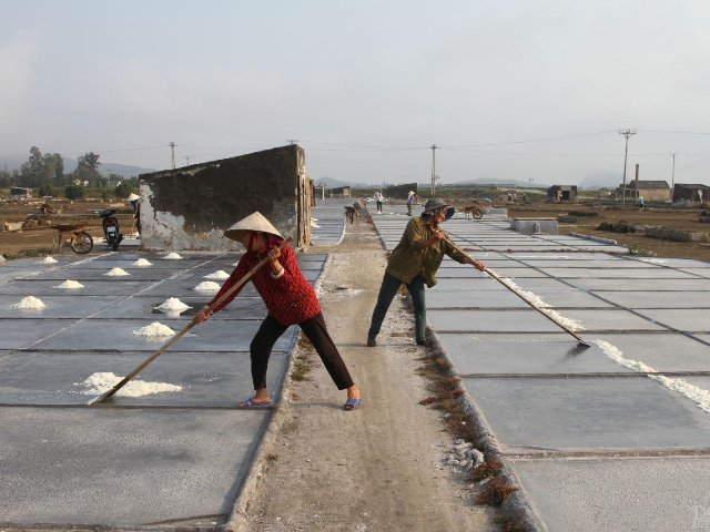 Phát huy tiềm năng nghề muối, Nghệ An hướng tới sản xuất bền vững gắn với du lịch