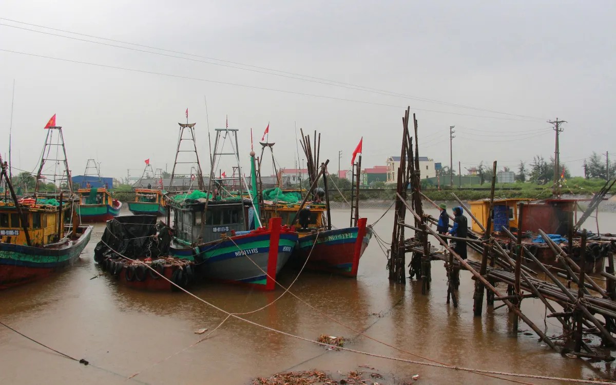 8888888888 8888888888