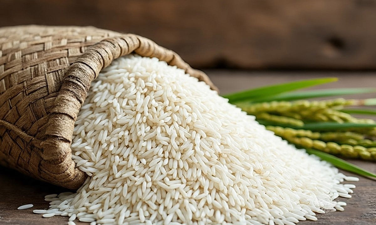 Giá lúa gạo hôm nay 22/10: Lúa tươi chững giá, gạo nguyên liệu xuất khẩu giảm. (Ảnh minh họa) Giá lúa gạo hôm nay 22/10: Lúa tươi chững giá, gạo nguyên liệu xuất khẩu giảm. (Ảnh minh họa)