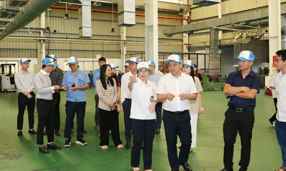 Các đại biểu tham quan xưởng sản xuất của Công ty trách nhiệm hữu hạn ANCL TECHCO.