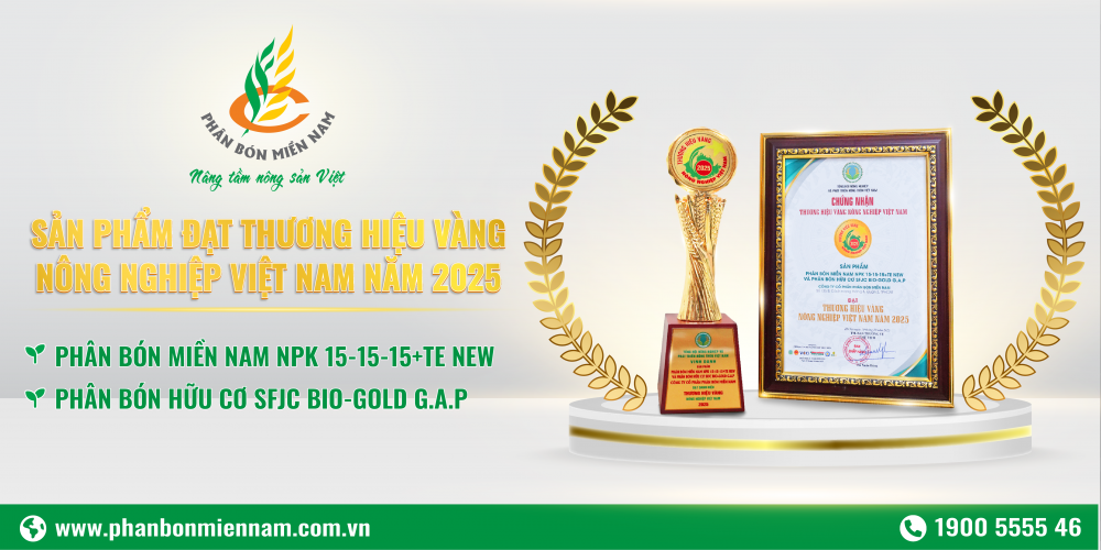 ản phẩm tiêu biểu NPK 15-15-15+TE NEW và SFJC Bio-Gold G.A.P, khẳng định nỗ lực đổi mới công nghệ, hướng tới nông nghiệp xanh, hiệu quả và bền vững của Phân bón Miền Nam