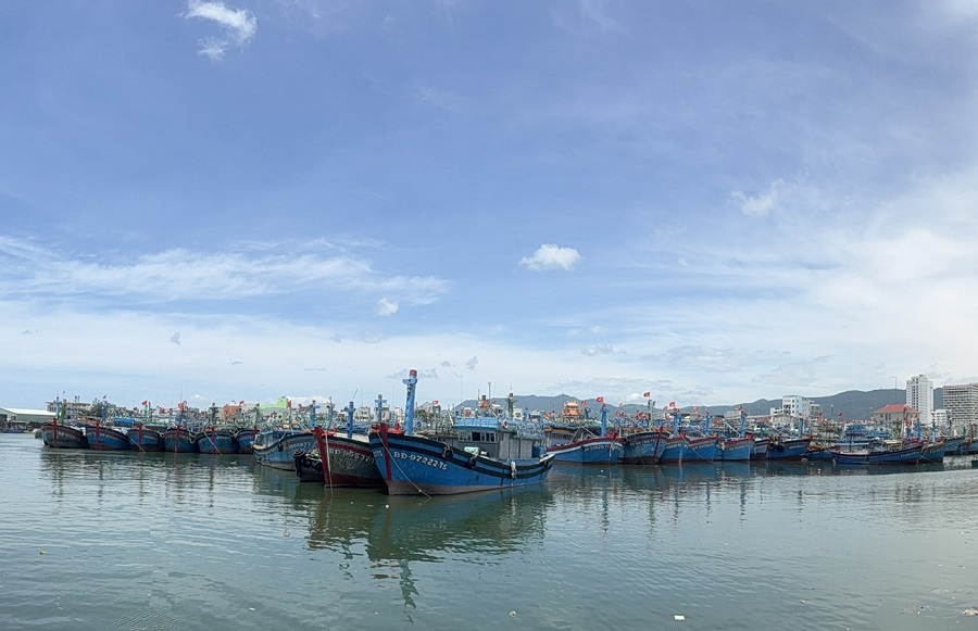 Cà Mau quyết liệt gỡ “thẻ vàng” IUU