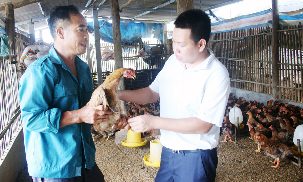 Chung tay hỗ trợ nông dân phục hồi sản xuất chăn nuôi và thủy sản sau bão, lũ