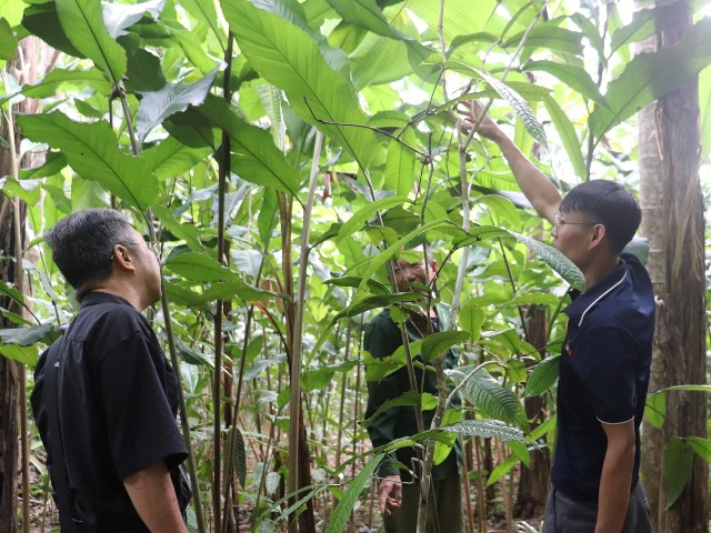 người dân tích cực tham gia chăm sóc và bảo vệ, thể hiện rõ sự đồng thuận và trách nhiệm cộng đồng trong quá trình triển khai mô hình.