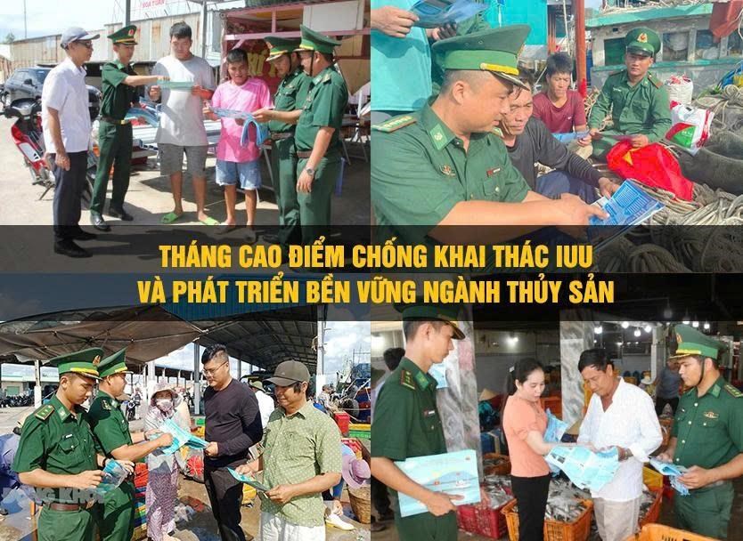 Cà Mau triển khai Tháng cao điểm chống khai thác IUU và phát triển bền vững ngành thủy sản