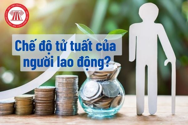 Lương hưu và trợ cấp tuất thân nhân được nhận số tiền lớn nếu người lao động qua đời sớm