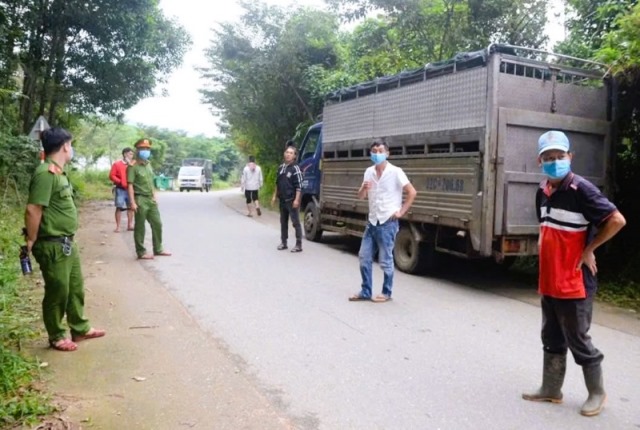 Xe tải chở 58 con heo không rõ nguồn gốc Xe tải chở 58 con heo không rõ nguồn gốc