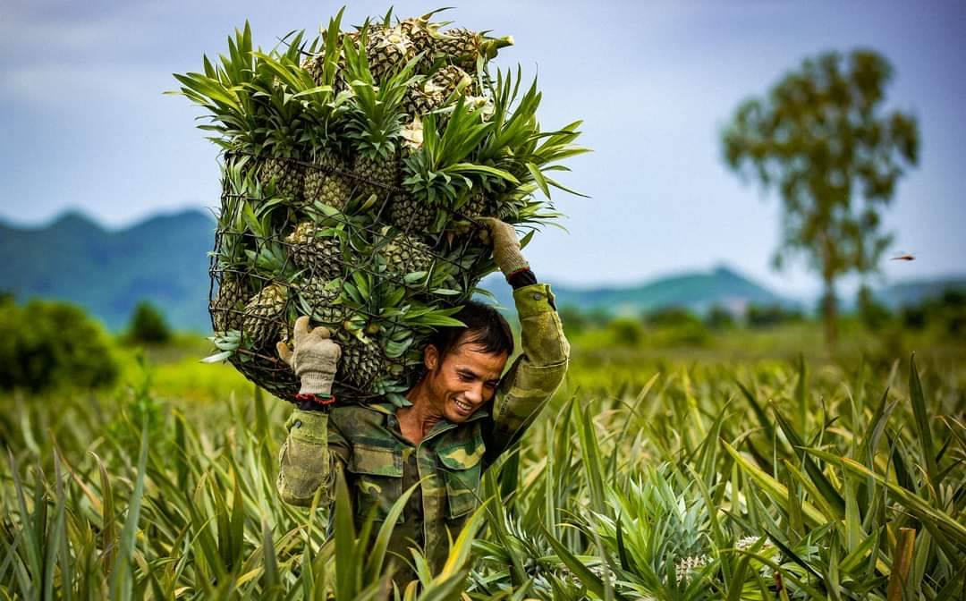 Ninh Bình ban hành Kế hoạch thực hiện Chương trình OCOP năm 2025 sau sáp nhập đơn vị hành chính