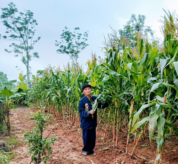 Huế: Chủ tịch UBND thành phố tổ chức đối thoại với nông dân