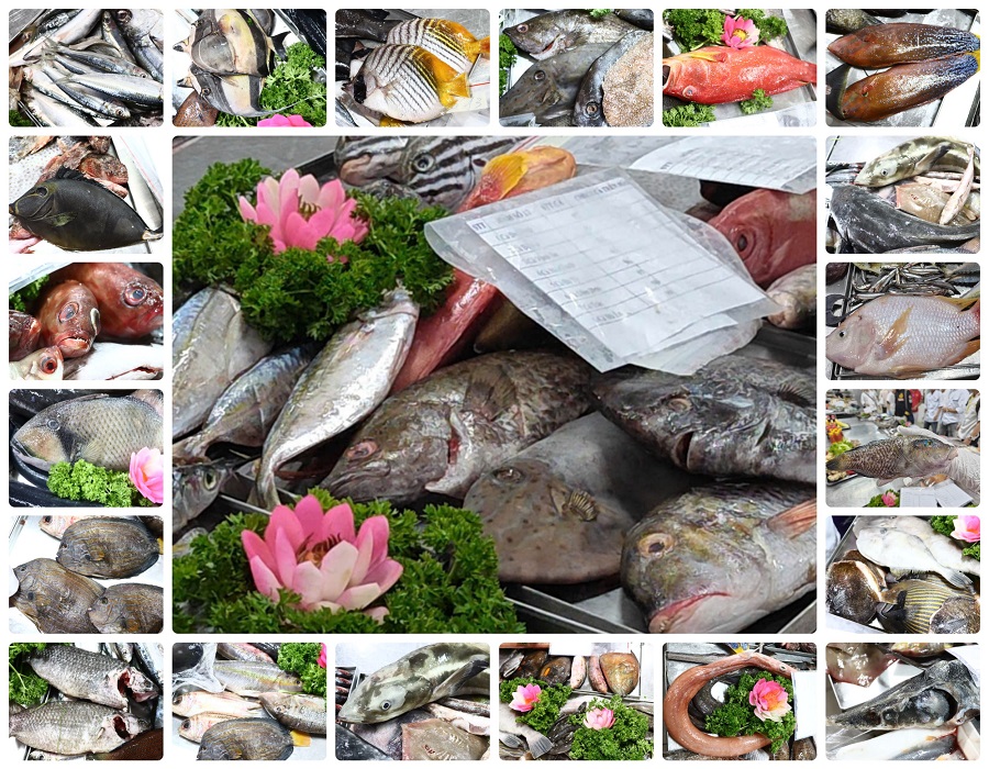 Với lợi thế bờ biển dài hơn 3.260 km cùng hệ thống sông ngòi, kênh rạch chằng chịt, Việt Nam được thiên nhiên ưu đãi cho một nguồn nguyên liệu cá vô cùng đa dạng Với lợi thế bờ biển dài hơn 3.260 km cùng hệ thống sông ngòi, kênh rạch chằng chịt, Việt Nam được thiên nhiên ưu đãi cho một nguồn nguyên liệu cá vô cùng đa dạng