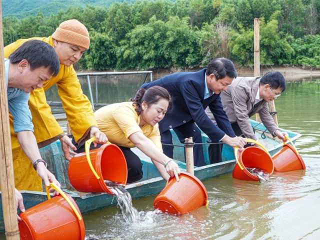 Hơn 2 tấn cá giống được thả xuống hồ Châu Thắng, góp phần phát triển sinh kế bền vững.