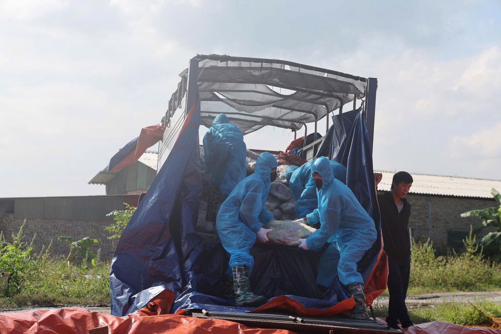 Khởi tố nhiều đối tượng vi phạm quy định về an toàn thực phẩm