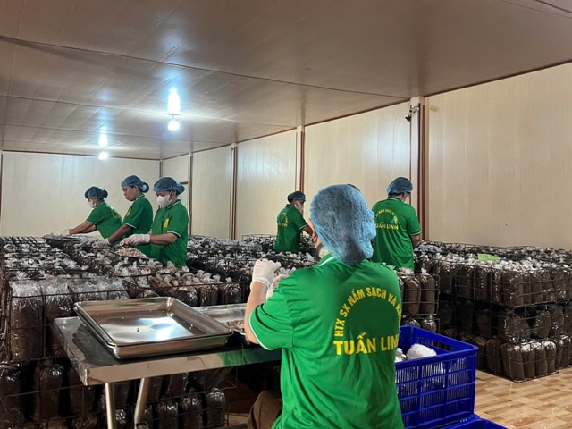 Đẩy mạnh chuyển đổi số, nâng cao năng lực cạnh tranh cho hợp tác xã tại Quảng Trị