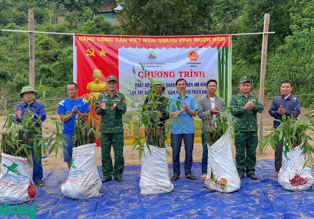 Nghệ An nhân rộng mô hình trồng tre gắn với bảo vệ biên giới và phát triển kinh tế