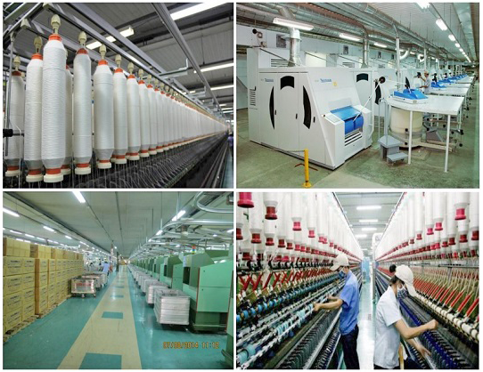 Tính đến cuối năm 2024, Sợi Phú Bài sở hữu hệ thống dây chuyền kéo sợi khoảng 50.000 cọc, với máy móc đồng bộ từ các hãng uy tín hàng đầu thế giới. Tính đến cuối năm 2024, Sợi Phú Bài sở hữu hệ thống dây chuyền kéo sợi khoảng 50.000 cọc, với máy móc đồng bộ từ các hãng uy tín hàng đầu thế giới.