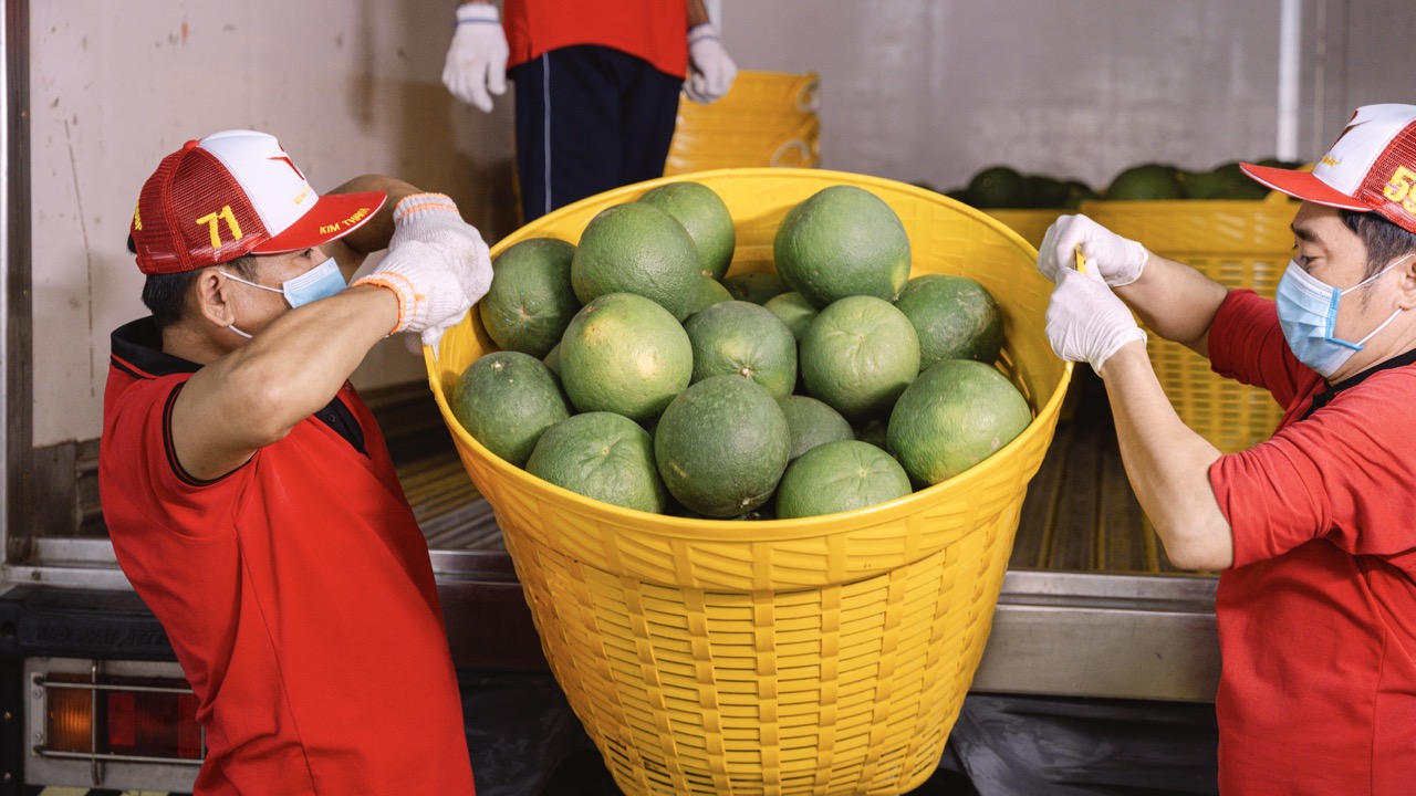 Gần 4.000 mã sản phẩm nông sản, thực phẩm Việt Nam được Trung Quốc phê duyệt xuất khẩu