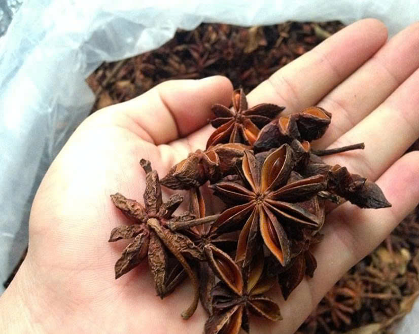 Loại hoa Việt Nam xuất khẩu hàng chục nghìn tấn mỗi năm, thu về hơn 45 triệu USD