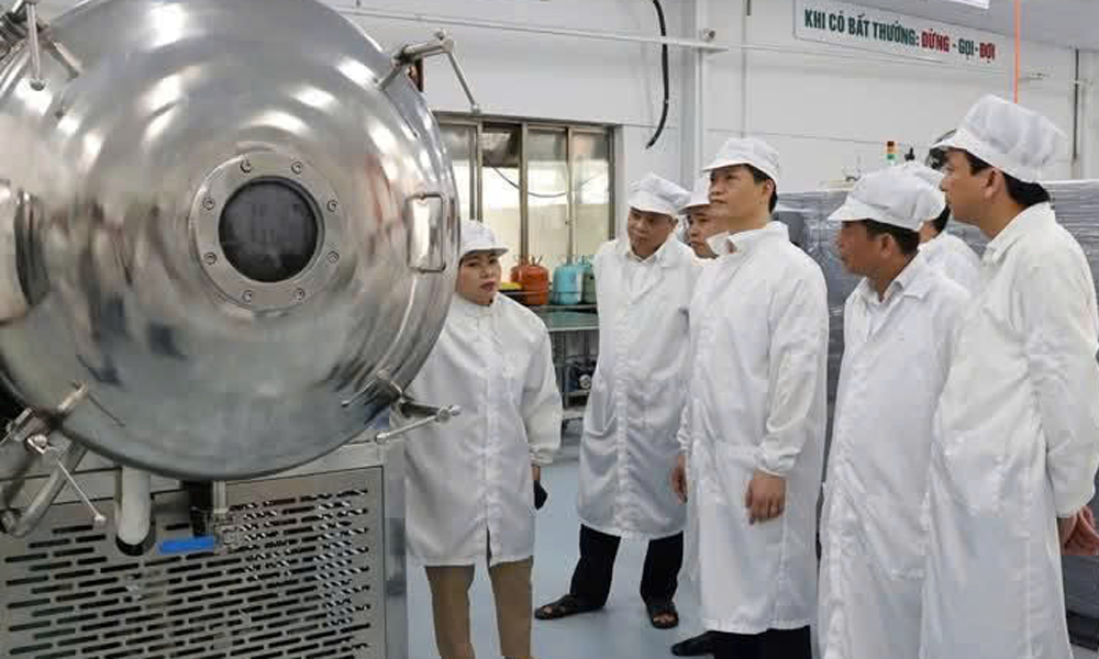 Công nghệ sấy của Công ty cổ phần Công nghệ thế hệ mới HANEL PT (Khu công nghiệp Tiên Sơn)