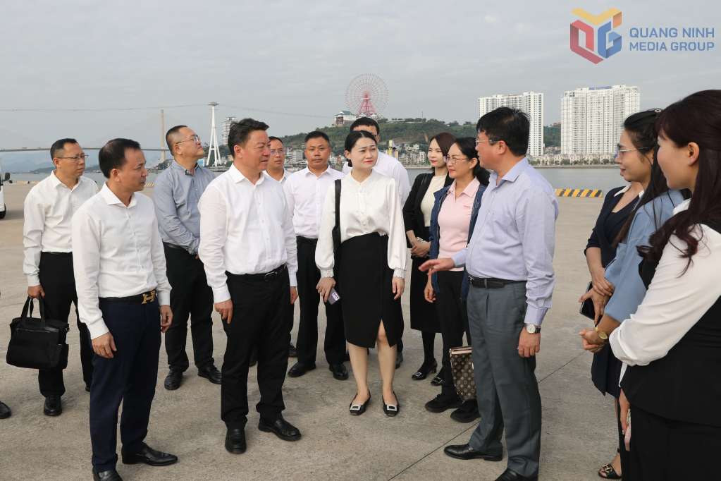 Đoàn đại biểu của TP Phòng Thành Cảng khảo sát tại Cảng tàu khách quốc tế Hạ Long. Đoàn đại biểu của TP Phòng Thành Cảng khảo sát tại Cảng tàu khách quốc tế Hạ Long.