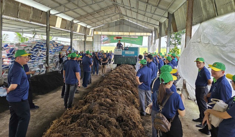 Trình diễn công nghệ cơ giới hóa sản xuất phân hữu cơ từ rơm rạ Trình diễn công nghệ cơ giới hóa sản xuất phân hữu cơ từ rơm rạ