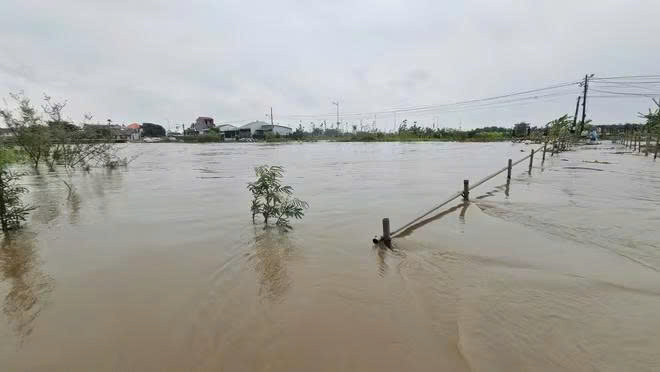 Các tuyến Quốc lộ ở Lâm Đồng thông tuyến trở lại sau sạt lở, ngập lụt