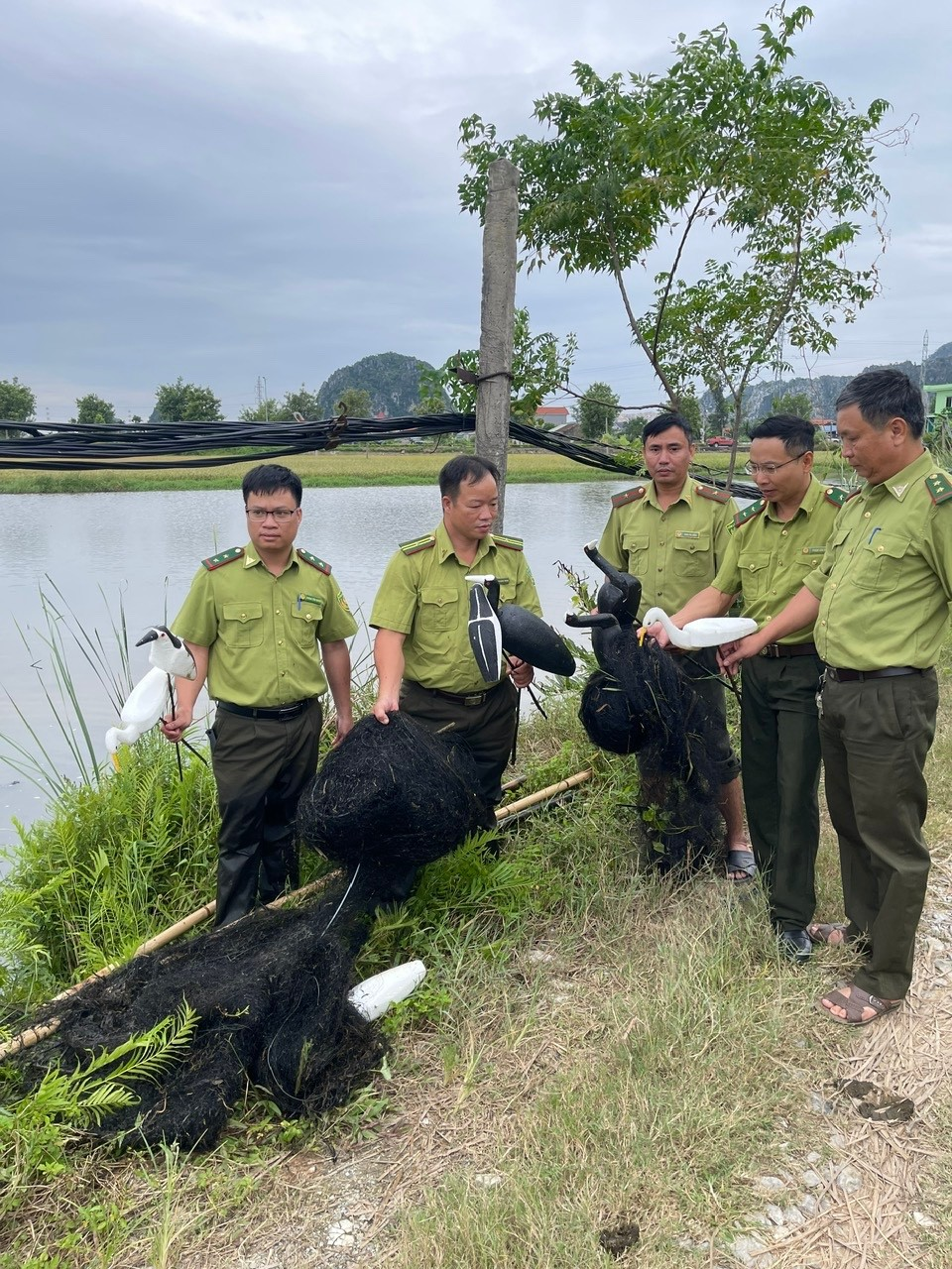 Hải Phòng tăng cường công tác tuần tra, xử lý tình trạng săn, bẫy, bắt chim hoang dã di cư trái pháp luật