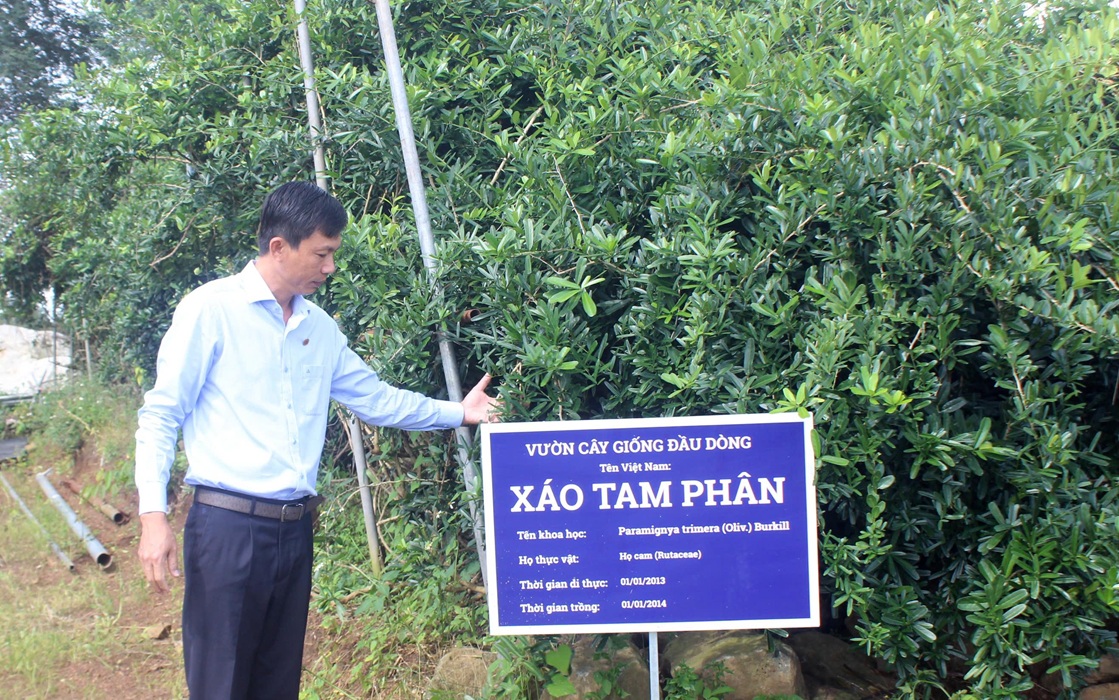 Giám đốc Nguyễn Văn Khôn, một người có tầm nhìn xa và một trái tim trăn trở với số phận của những cây thuốc quý nước nhà Giám đốc Nguyễn Văn Khôn, một người có tầm nhìn xa và một trái tim trăn trở với số phận của những cây thuốc quý nước nhà