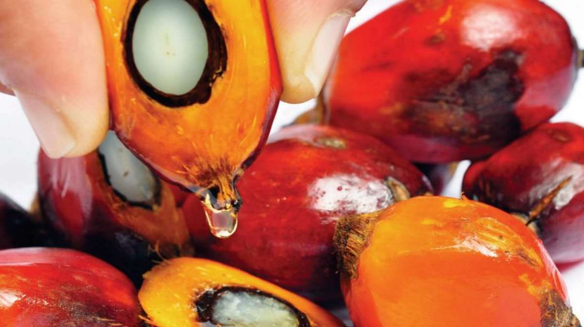 Thị trường hàng hóa: Áp lực bán vẫn bao trùm