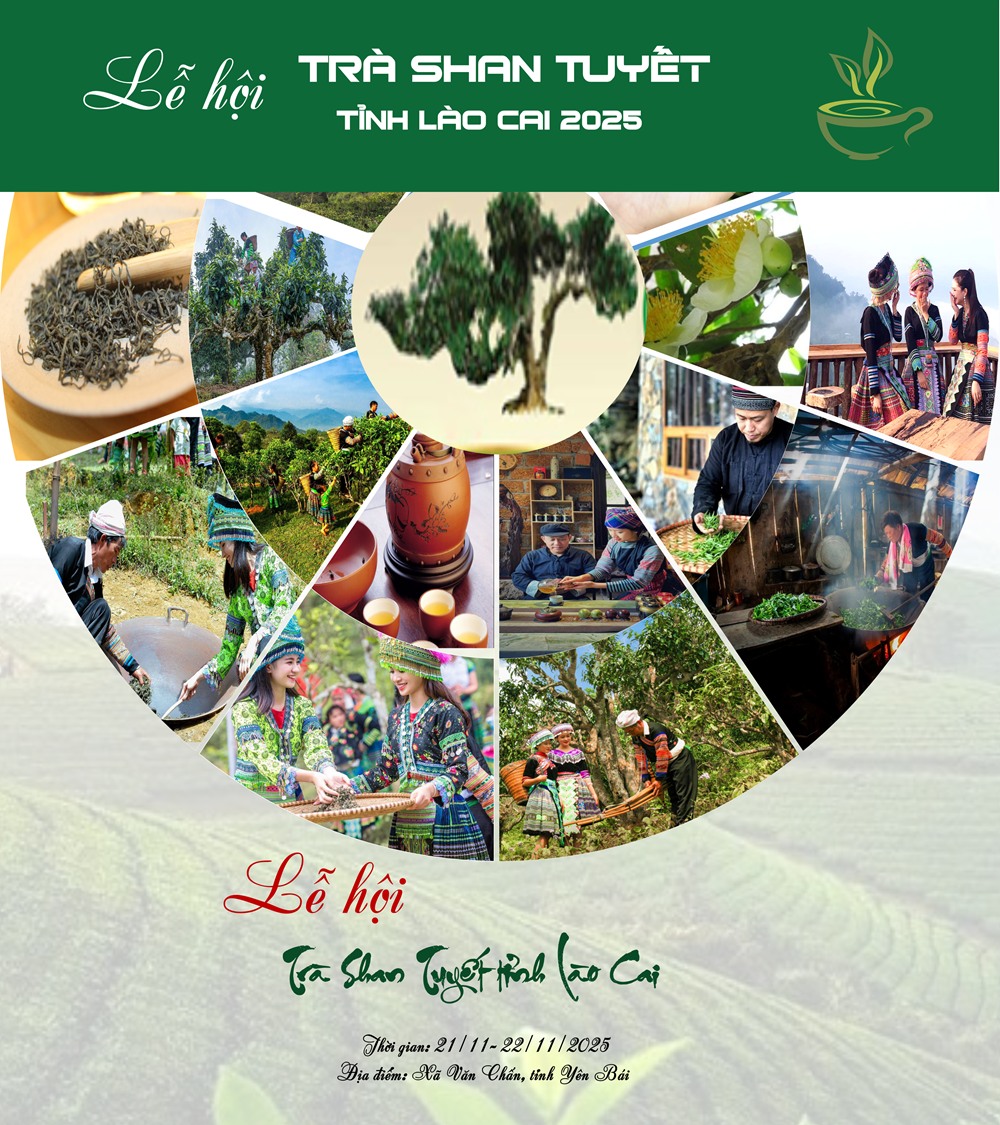 Lễ hội Trà Shan Tuyết tỉnh Lào Cai dự kiến diễn ra từ ngày 21 - 22/11