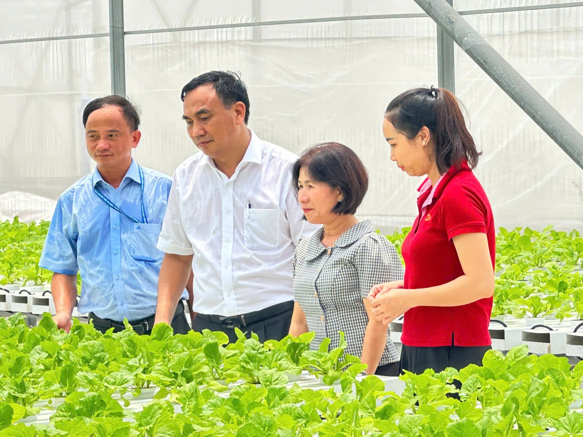 TP. HCM: Đẩy mạnh phát triển nông nghiệp công nghệ cao, hướng tới nền nông nghiệp hiện đại và bền vững