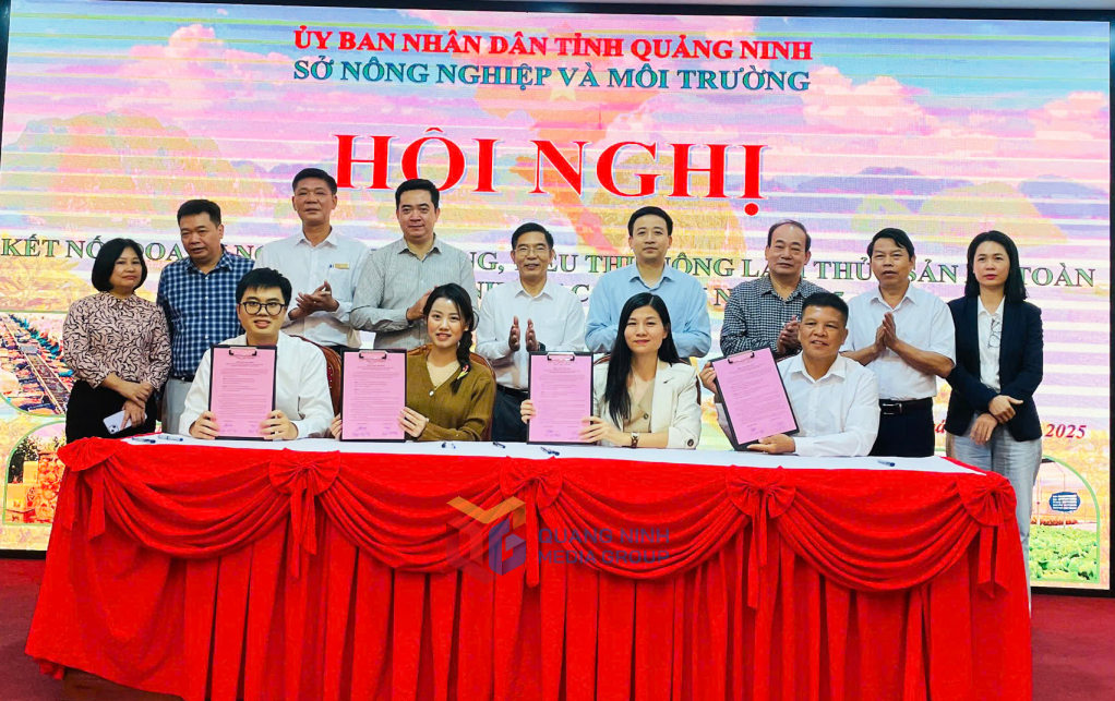 Các đơn vị tham gia Hội nghị ký kết biên bản phối hợp về thực hiện công tác quản lý chất lượng an toàn thực phẩm và phát triển thị trường và ký kết biên bản ghi nhớ hợp tác. Các đơn vị tham gia Hội nghị ký kết biên bản phối hợp về thực hiện công tác quản lý chất lượng an toàn thực phẩm và phát triển thị trường và ký kết biên bản ghi nhớ hợp tác.