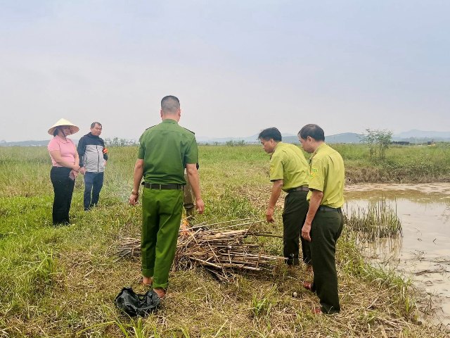 Nghệ An siết chặt quản lý, ngăn chặn vi phạm về động vật hoang dã và nguồn lợi thủy sản