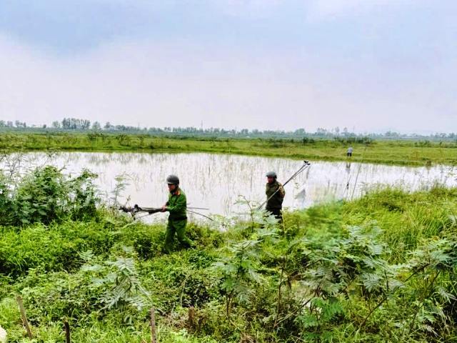 Lực lượng chức năng tiến hành tháo dỡ các cọc tre có gắn nhựa bẫy chim. Lực lượng chức năng tiến hành tháo dỡ các cọc tre có gắn nhựa bẫy chim.