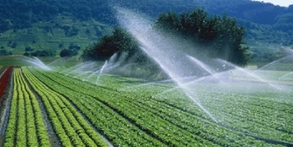 Quy định kỹ thuật cơ sở dữ liệu lĩnh vực trồng trọt và bảo vệ thực vật