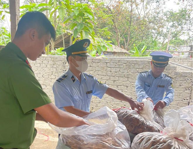 Phát hiện 1,5 tạ măng khô không rõ nguồn gốc, hộ kinh doanh tại Nghệ An bị phạt 12 triệu đồng