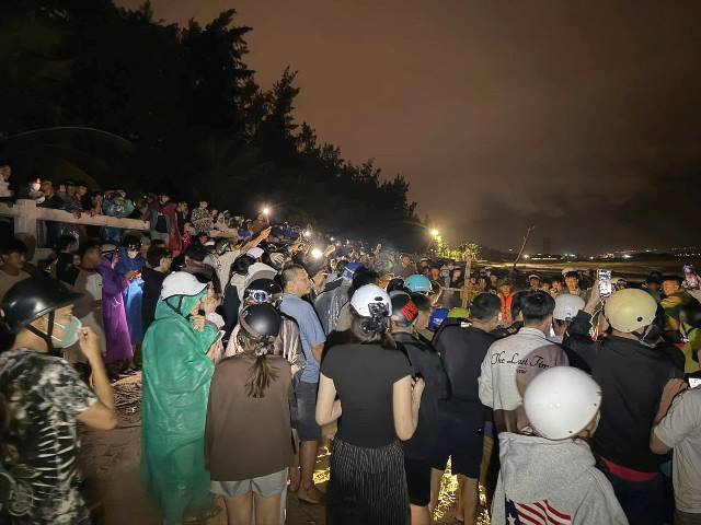 Đà Nẵng: Người dân phát hiện một con cá voi chừng 4m trôi dạt vào bờ biển Nguyễn Tất Thành