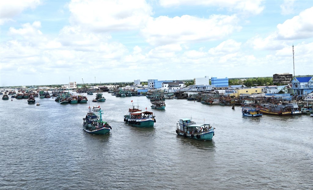 Cà Mau: Quy định mức xử lý vi phạm hành chính trong lĩnh vực phòng, chống IUU