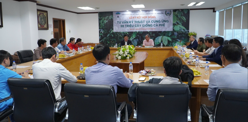 Hoàng Anh Gia Lai (HAG) hợp tác với WASI phát triển 30 triệu cây giống cà phê năng suất vượt trội