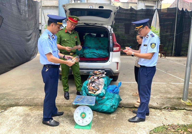 Kiểm tra lô hàng hóa vi phạm