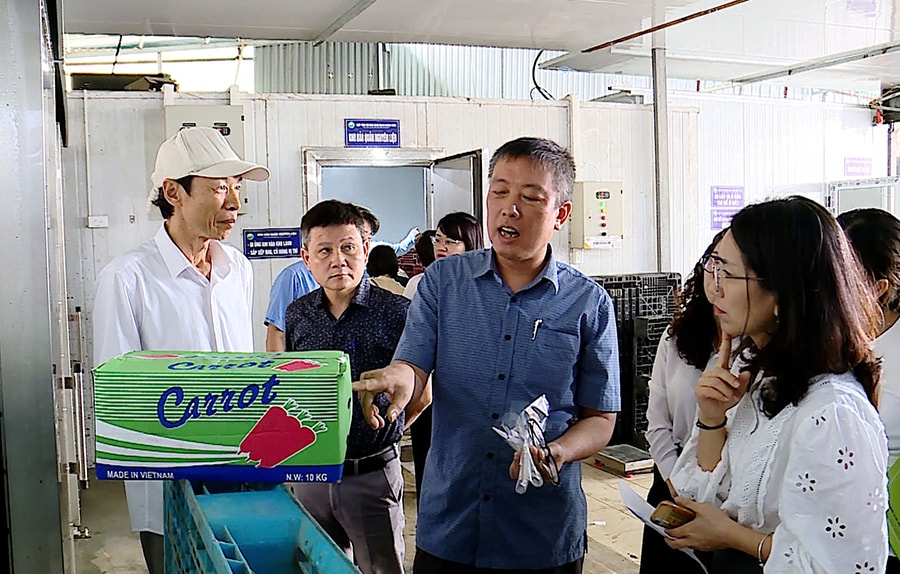 Hà Nội: 1.220/1.309 mẫu nông, lâm, thủy sản đạt chuẩn an toàn thực phẩm