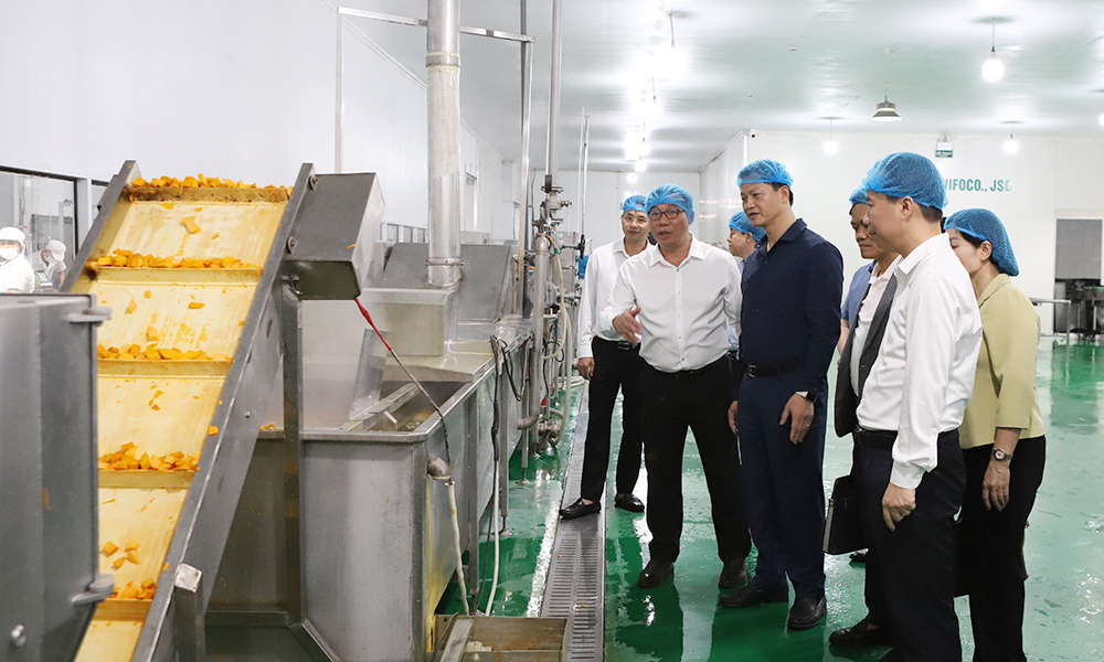 Đồng chí Vương Quốc Tuấn thăm dây chuyền chế biến nông sản của Công ty Cổ phần xuất nhập khẩu Vifoco. Đồng chí Vương Quốc Tuấn thăm dây chuyền chế biến nông sản của Công ty Cổ phần xuất nhập khẩu Vifoco.