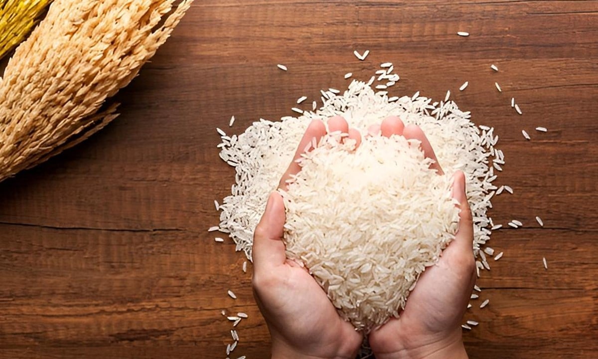 Giá lúa gạo hôm nay ngày 31/10: Gạo nguyên liệu xuất khẩu giảm. (Ảnh minh họa) Giá lúa gạo hôm nay ngày 31/10: Gạo nguyên liệu xuất khẩu giảm. (Ảnh minh họa)