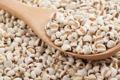 Lâm Đồng: Thu hồi toàn bộ lô dược liệu ý dĩ