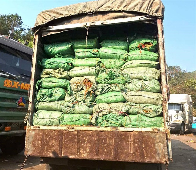 Công an tỉnh Cao Bằng phát hiện, thu giữ số lượng lớn nguyên liệu thuốc lá không rõ nguồn gốc xuất xứ vào tháng 2/2025 Công an tỉnh Cao Bằng phát hiện, thu giữ số lượng lớn nguyên liệu thuốc lá không rõ nguồn gốc xuất xứ vào tháng 2/2025