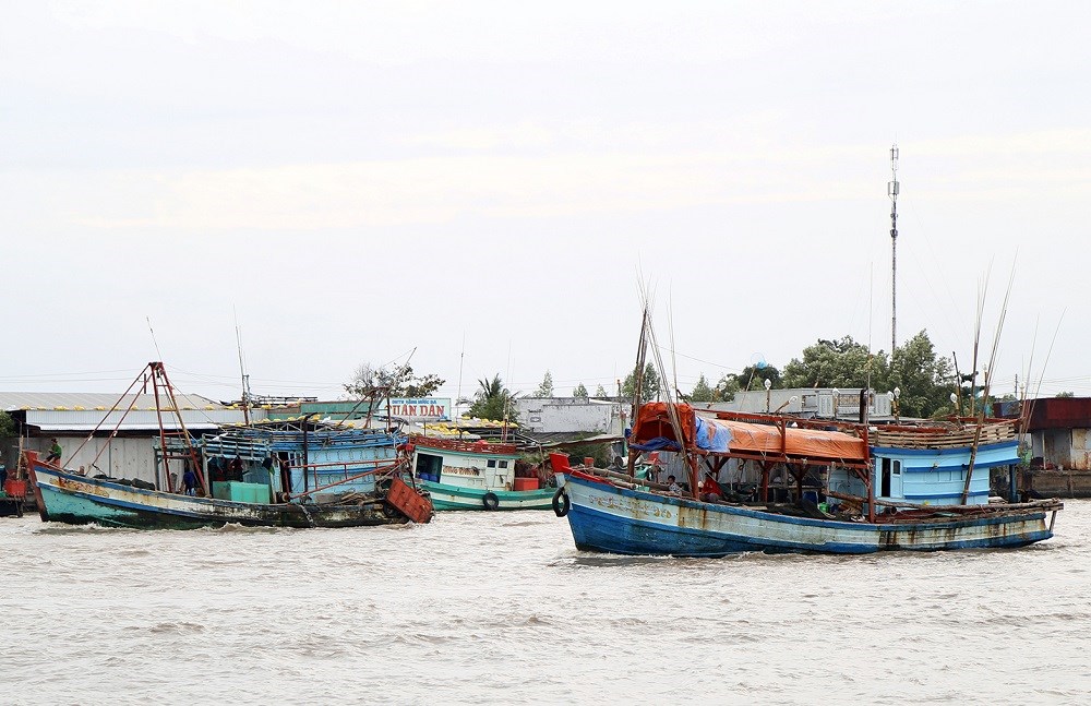 Cà Mau chỉ đạo đẩy nhanh tiến độ đăng ký tàu cá và cấp giấy phép khai thác thủy sản